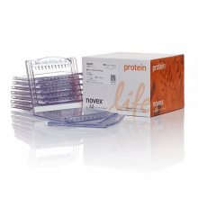 Гель полиакриламидный Bolt Bis-Tris Mini Protein Gel, 8 х 8 см, 15 лунок, 4 - 12%, Thermo FS